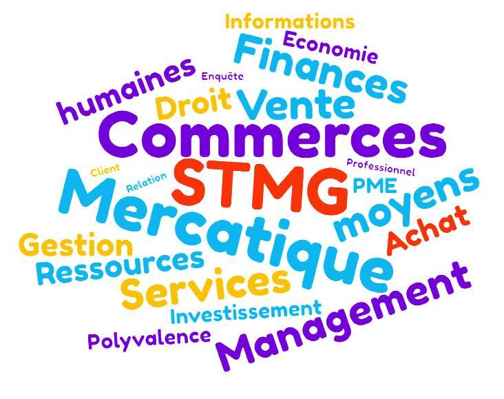Logo stmg