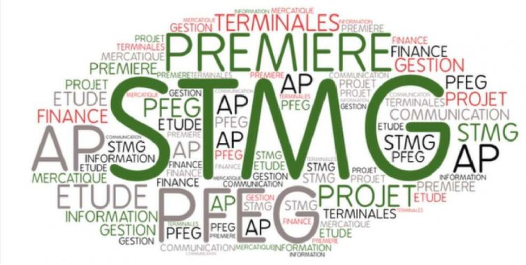 Logo stmg
